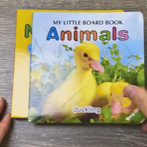 Livre bébé - Cartes à motifs colorés
